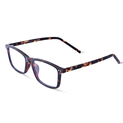Vogily Eyewear- Copley